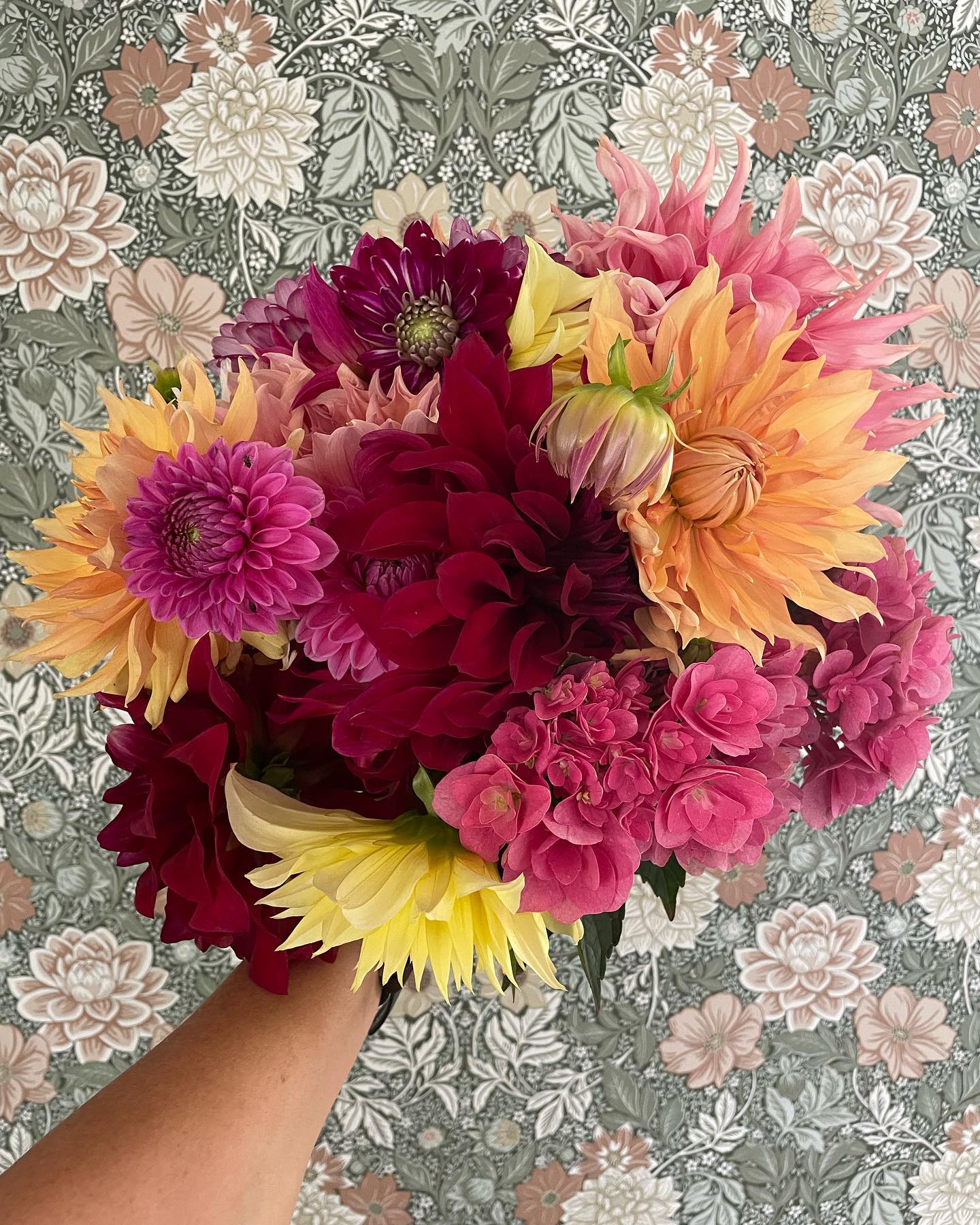 Rensade lite i rabatten🌸 

#dahlias #dahlia #trädgård #egenodlat #hortensia #boråstapeter #dahliagarden #mittslott #höst #autumn #bukett #dahliabukett #sekelskifte