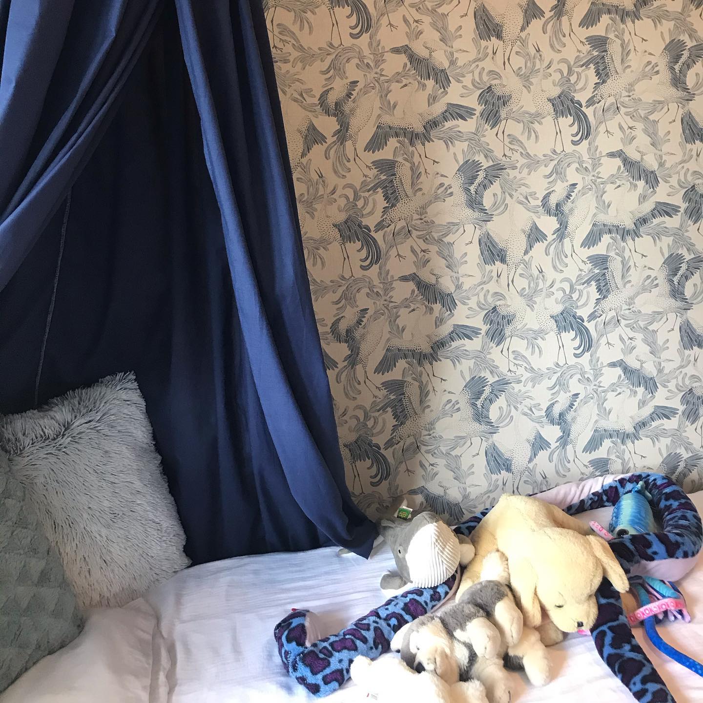Post from minplatsmeu