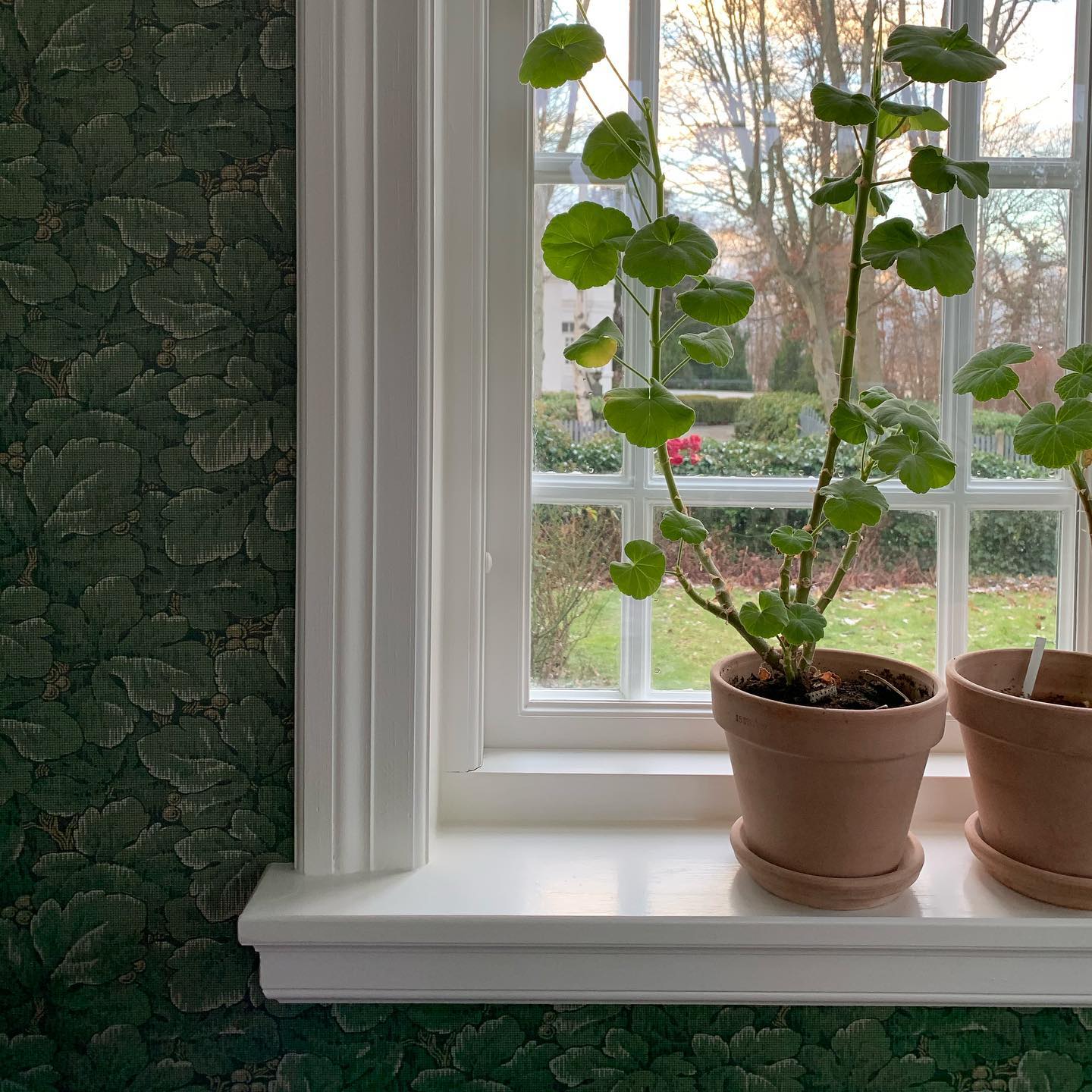 Yesterday the wallpaper was put up in the porch. We choose a quite dark colour as the room itself draws in so much natural light through the large windows and there is not much wall space to be honest, it’s mainly windows. 

Most rooms in the house are painted with colour but we like the mix of wallpaper and paint so we will make space for wallpaper in at least one more area in the house. 

Soon time to upload some before and after pics of the porch..