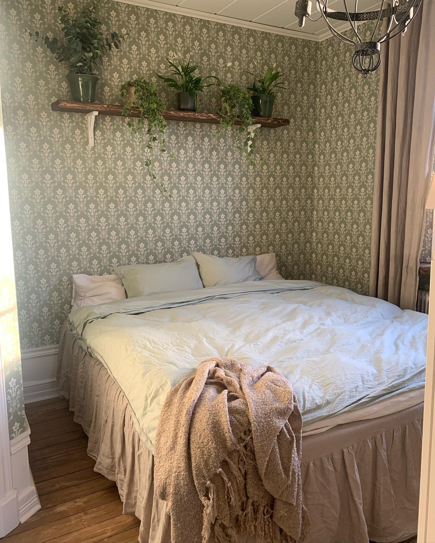 [ växter ] 🌿💗 Vilken harmoni det sprider i ett rum🌱

Önskar er en fin helg! 🌟