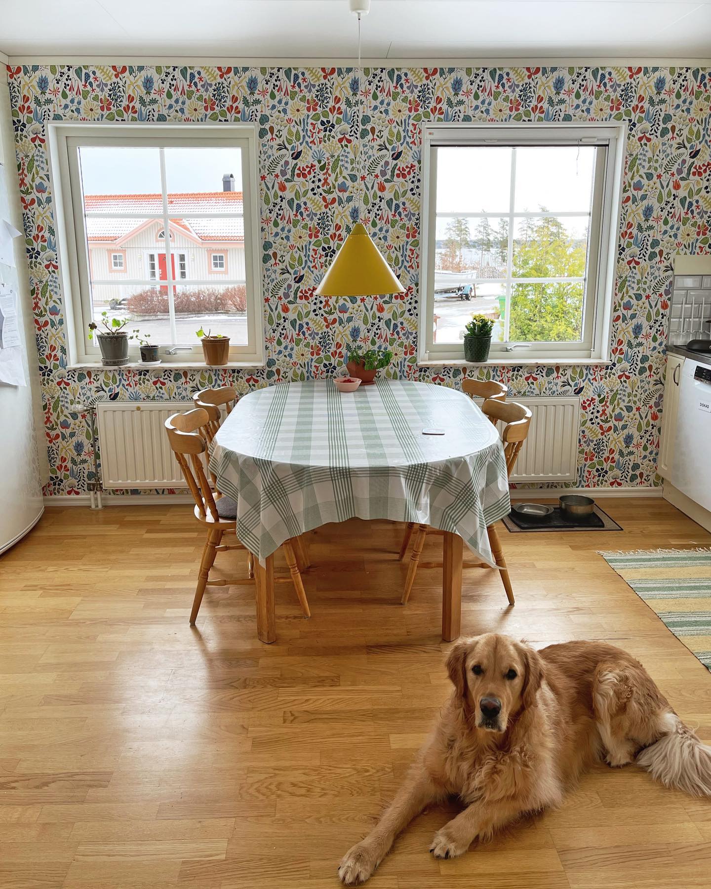 Från att ha varit en tapetserings-n00b så har jag nu lyckats tapetsera fyra rum sen vi flyttade in i huset. Svep för FÖRE-bild. 

Nu till det svåra… vad ska vi ha för gardiner? 