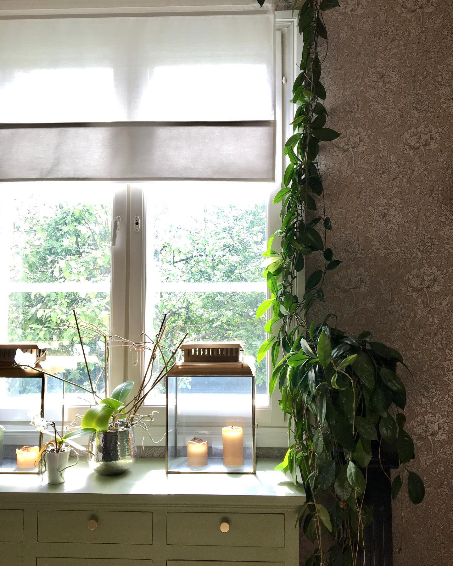 Ihanaa, kun ikkunoista näkyy vihreää 🌿💚. Myös ikkunoiden tällä puolella posliinikukka näyttää viihtyvän hyvin 🪴. Suurin osahan talon viherkasveista muutti kesäksi takaterassille, mutta sai jäädä paikoilleen 😊. 
