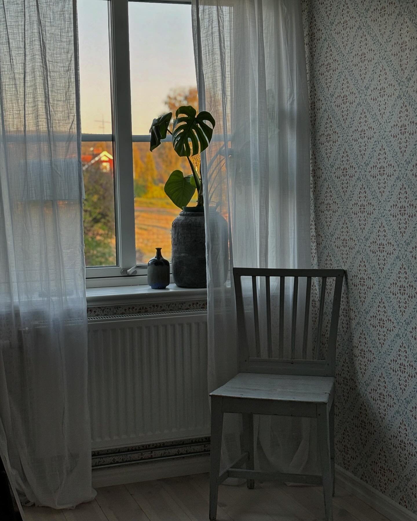 Vilka fina dagar vi har haft i september! Och kvällsljuset över lindan var magiskt💛 Svårt att tro att det ska komma snö i veckan… 

.

.

.
#härligthemma #scandinavianhome #schwedenhaus #bakugardn #renoveragamlahus #släktgård  #myvintagehome #byggnadsvård #sekelskifteshus #lantlivet #homeinsweden  #timmerhus #nordicliving #interior #drömhem #renovation #mitthempålandet #nordichome #countryliving #hemmabygge #hemma #bohostyle #bohohome #aroomwithaview #renovering #familjetapeter #livsstil #inredningsinspiration #underbaraboning