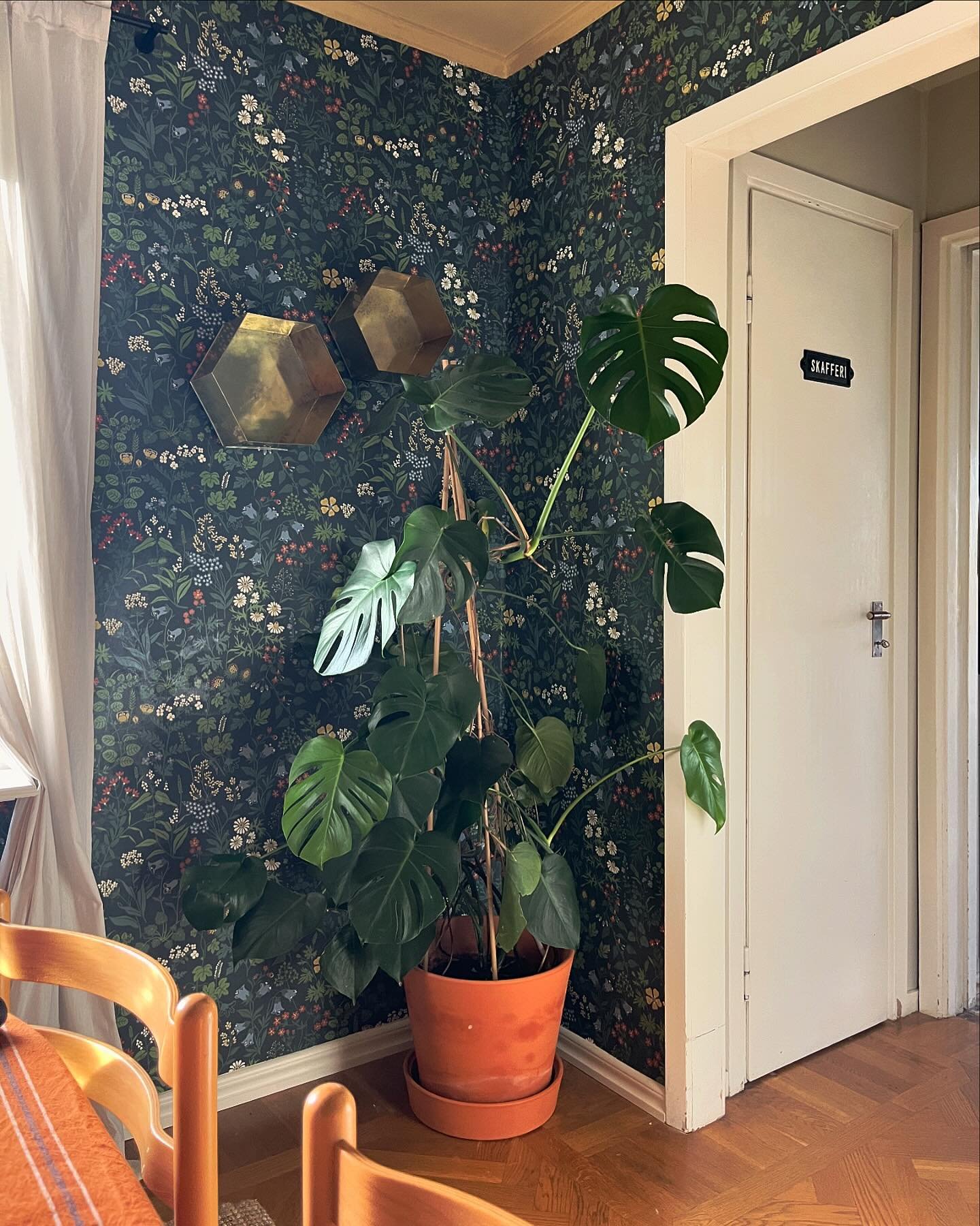 Efter ett man renoverat har jag så svårt att ta första steget att sätta upp saker på väggarna. Som att man inte vill förstöra det nya 😅 

Dessa mässingshyllor har legat i förrådet i många år nu. Perfekt enligt mig på en tapetserad vägg då jag kan tycka det lätt blir för mycket med tavlor och prints när man har sånt mönster på tapeten som vi har. 

Svåraste rummet är helt klart vardagsrummet. Kan för mitt liv inte bestämma mig vad vi ska göra ovanför soffan. Tips mottages gärna! 🤩♥️
.
.
.
#inredning #inredmedhusohem #matsal #diningroom #tapetinspiration #wallpaper #yeswallpassion #flora #plants #heminredning #homedecor #homesweethome #cozyhome #decoration #interior