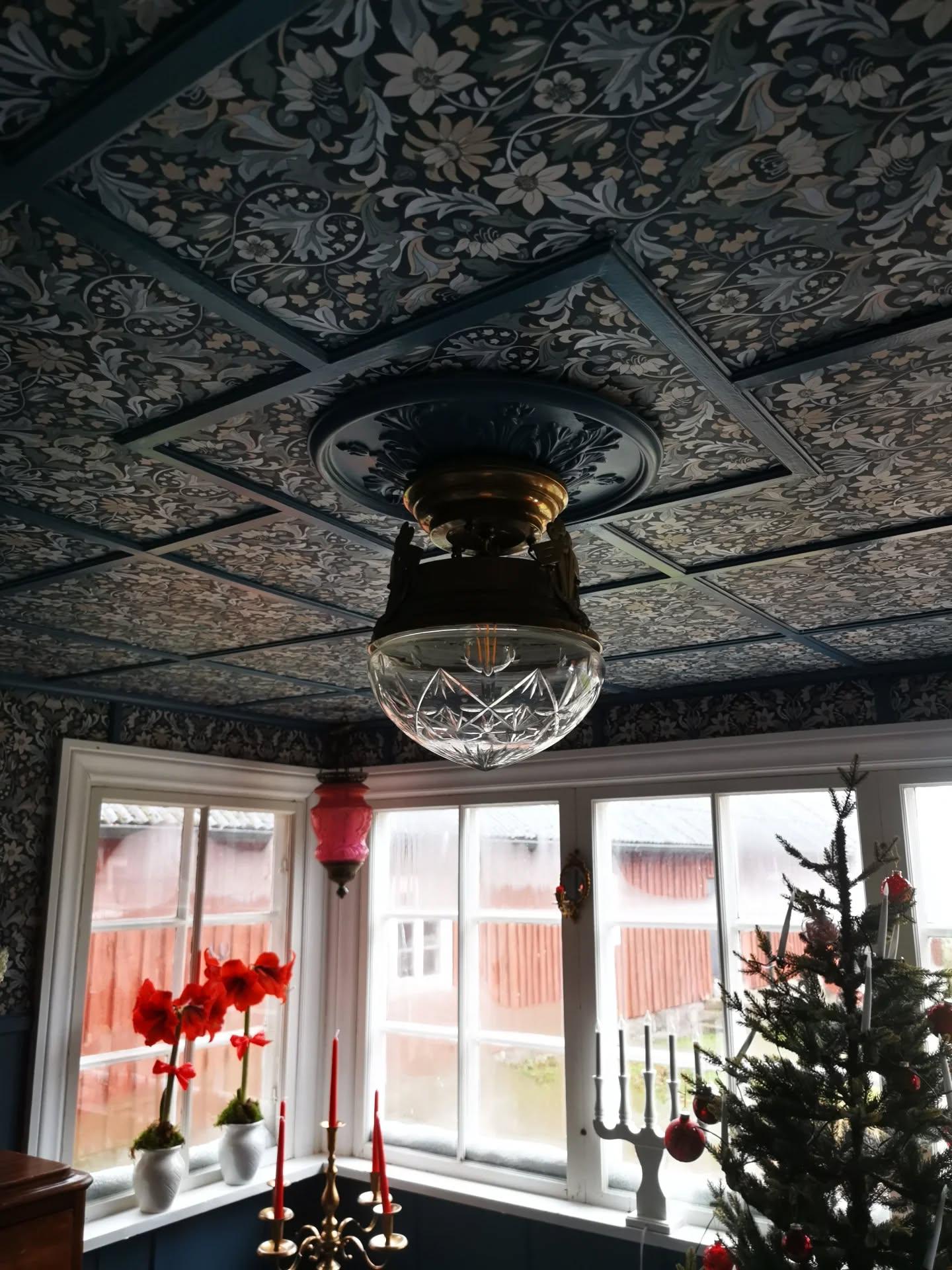 När man känner att listen inför jul redan är lång. Med måsten, bak och pynt. Lucia och födelsedagar. Julklappsinköp och inslagning. Då kan man också klämma in att tapetsera taket i hallen! Sagt och gjort! Taket är klart! I god tid till födelsedag, Lucia & Jul ✨🎄🎅
Om det var svårt? Ja! Skulle jag göra det igen? Absolut! 👌🏽

borastapeter #Blomsterfröjd 
familjetapeter.se #Blomsterfröjd
beckersfarg #pärlhyacint789