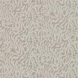 Image of 