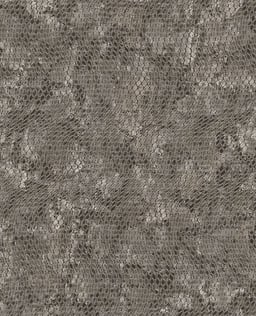 Image of 