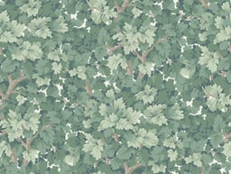 Image of 
