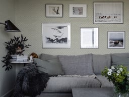 Image of 