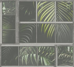Image of 