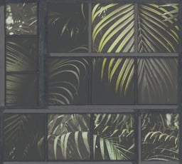 Image de 