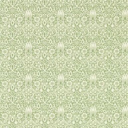 Image of 