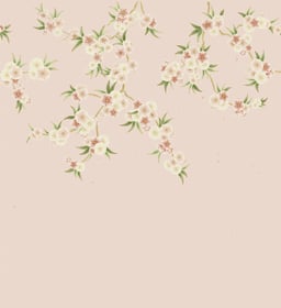 Image of 