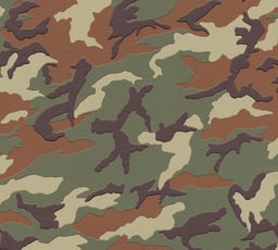 Image of 