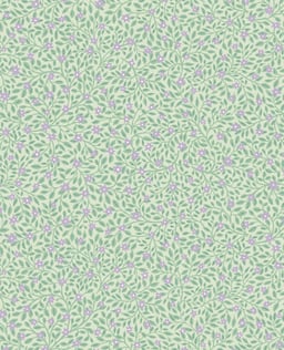 Image of 