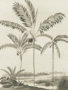 Image de 
