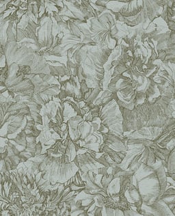 Image of 