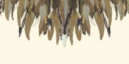 Image of 