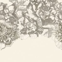 Image of 
