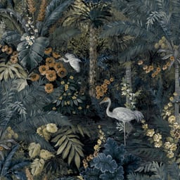 Image of 