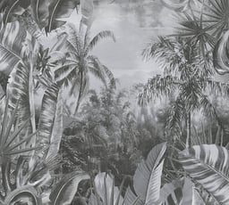 Image of 