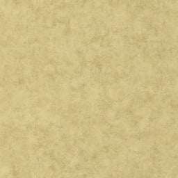 Image of 