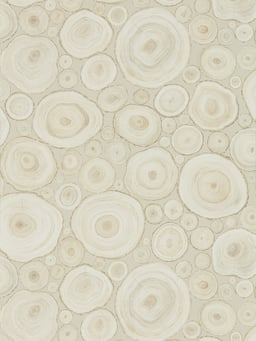Image of 