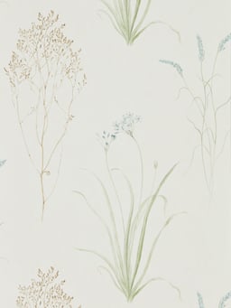 Image of 
