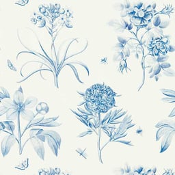 Image of 