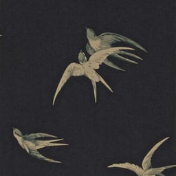 Image de 