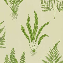 Image of 