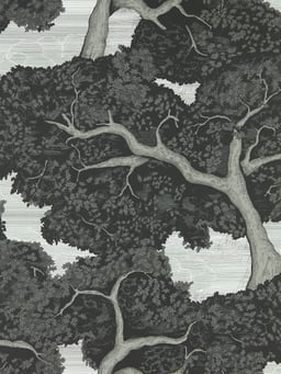Image of 
