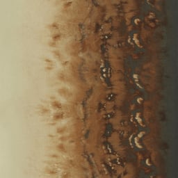 Image of 