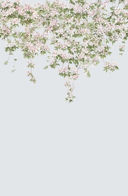 Image of 