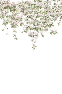 Image of 