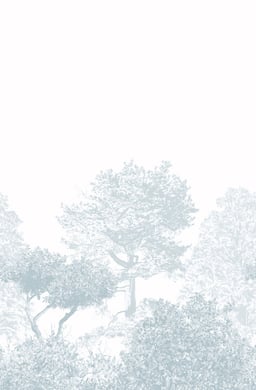 Image of 