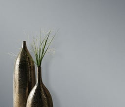 Afbeelding van 