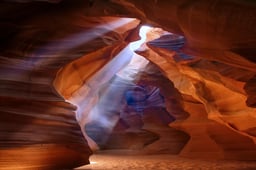 Image of 