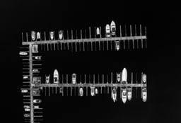 Image of 