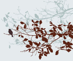 Image of 