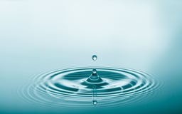 Image of 
