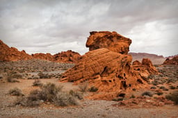 Image of 