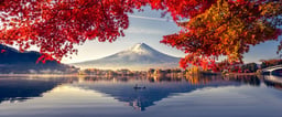 Image of 