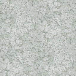 Image of 