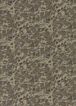 Image of 