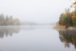 Image of 