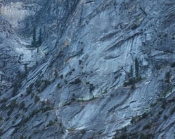Image of 