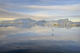 Image of 