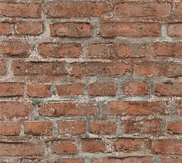 Image of 