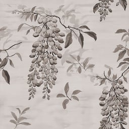 Image of 